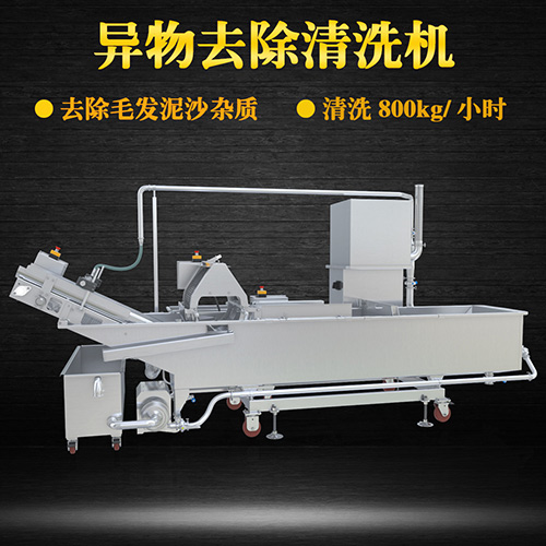 多功能水果清洗機(jī)，氣泡清洗，清洗800kg小時(shí)