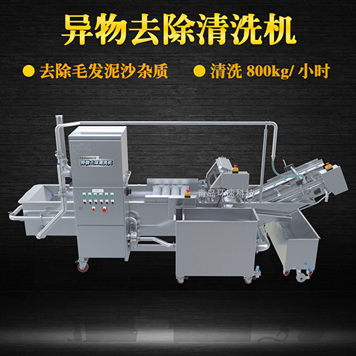 多功能水果清洗機(jī)，氣泡清洗，清洗800kg小時(shí)